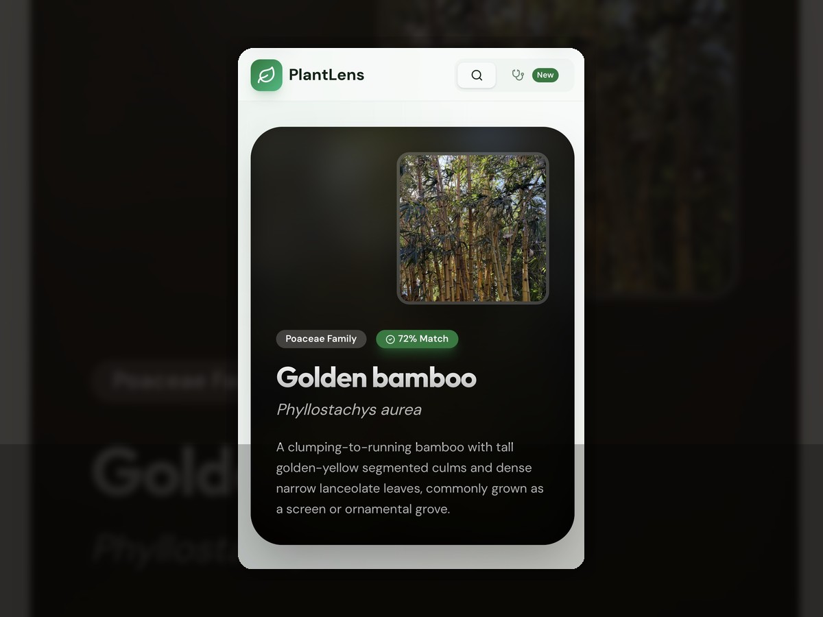 PlantLens artifact preview